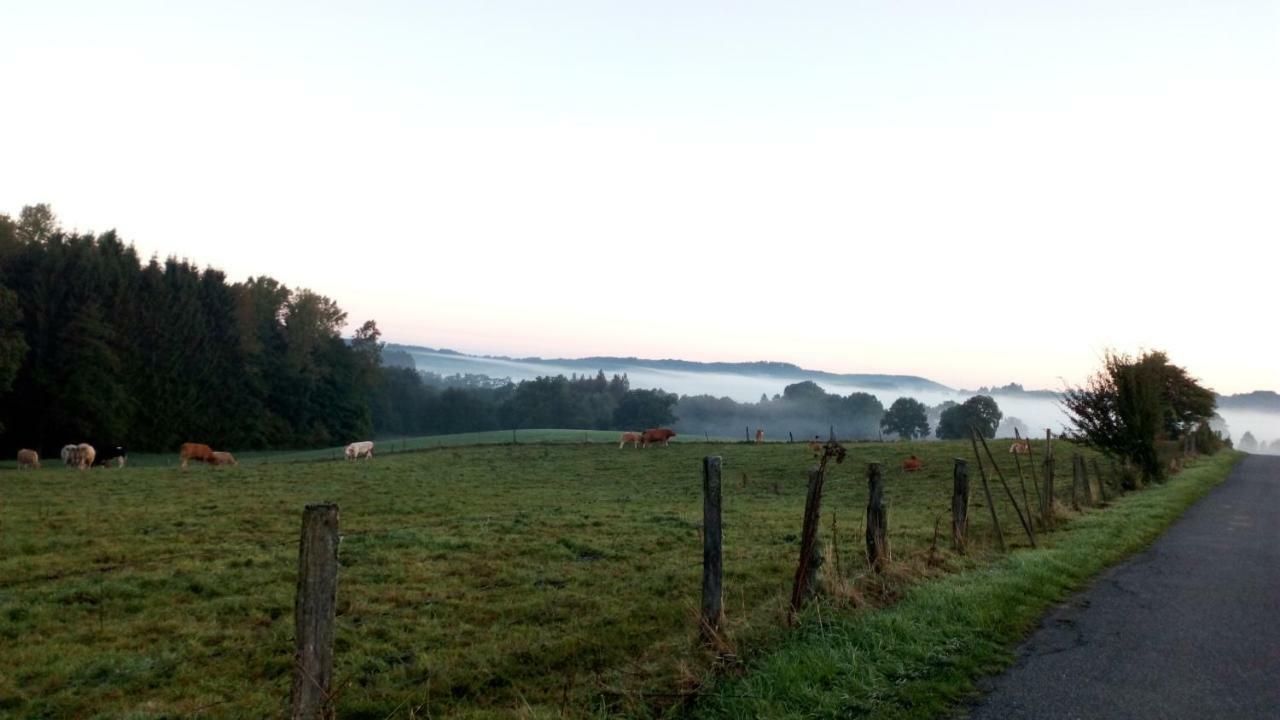 La Croisee Des Champs, Gite Entre Durbuy Et La Roche En Ardenne Érezée エクステリア 写真