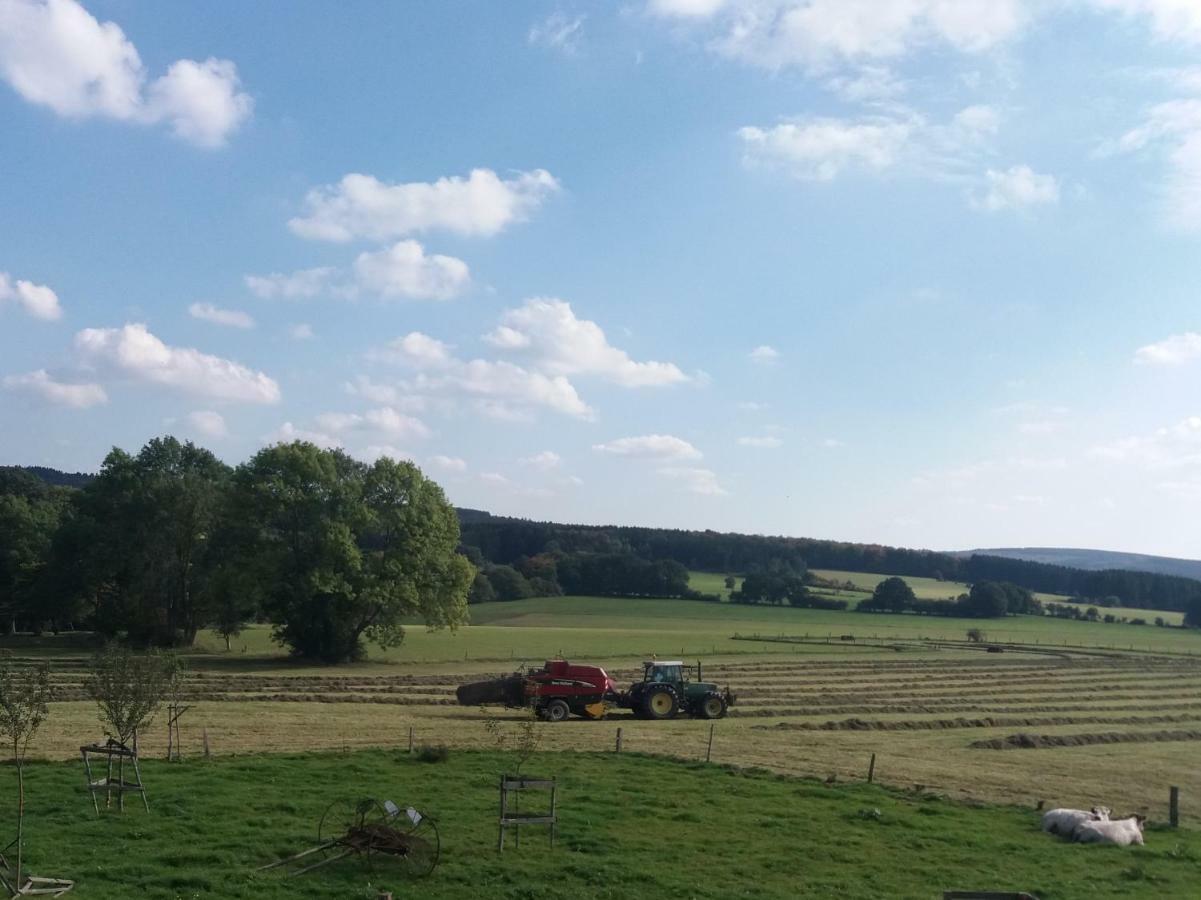 La Croisee Des Champs, Gite Entre Durbuy Et La Roche En Ardenne Érezée エクステリア 写真